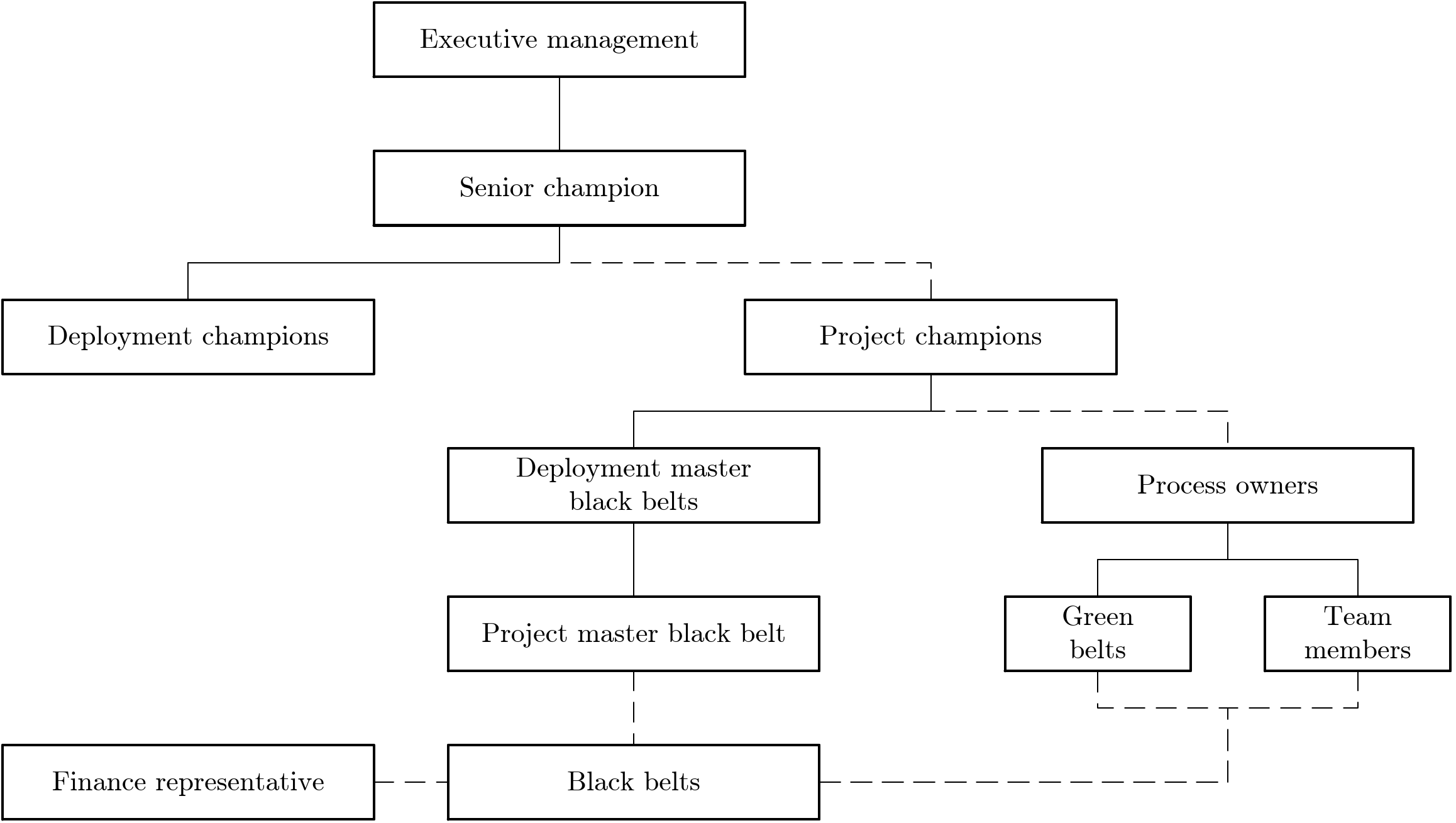 Reporting hierarchy of the Six Sigma team