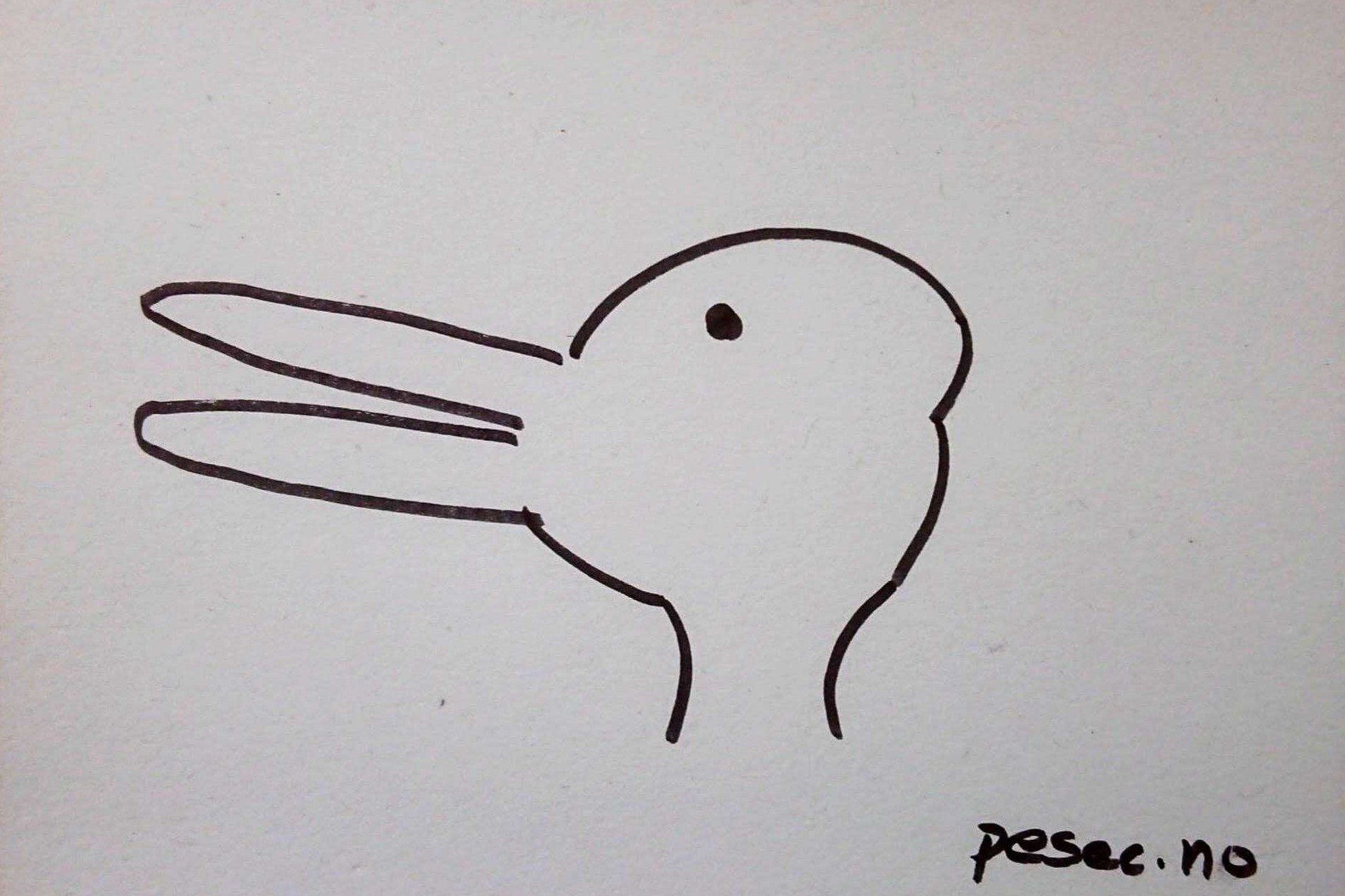 Duck-rabbit illustration.