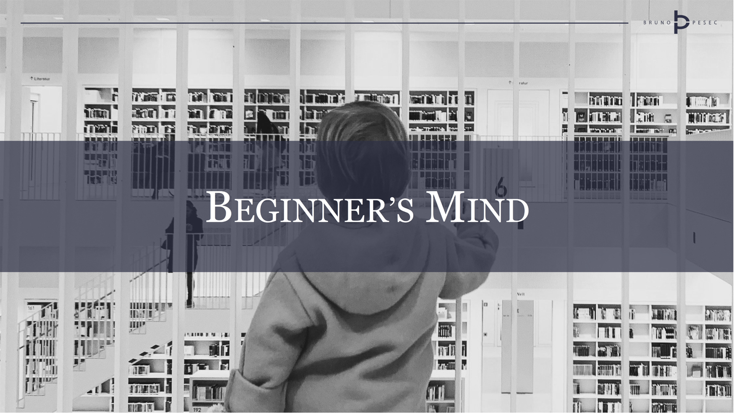 Beginner's Mind