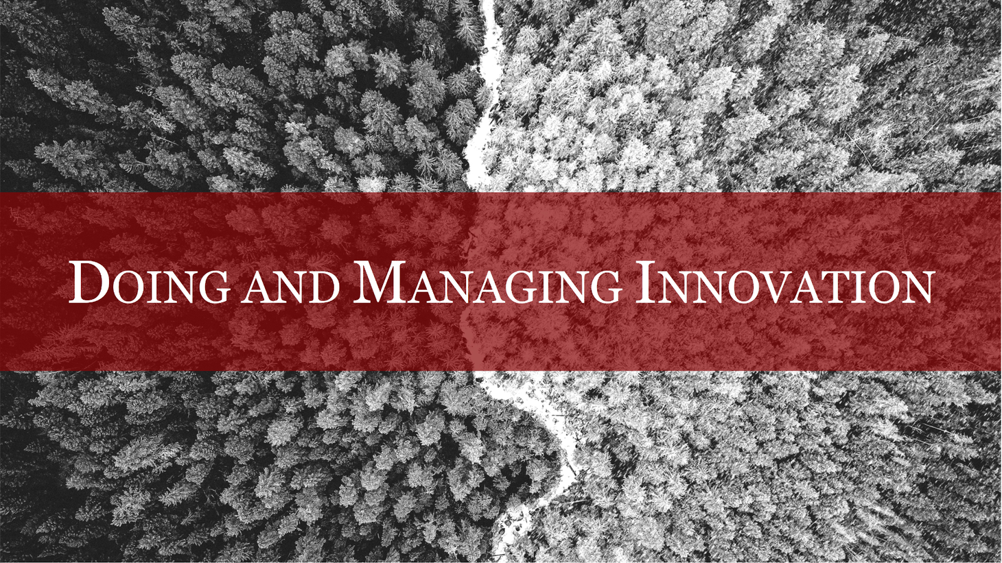 Doing and managing innovation