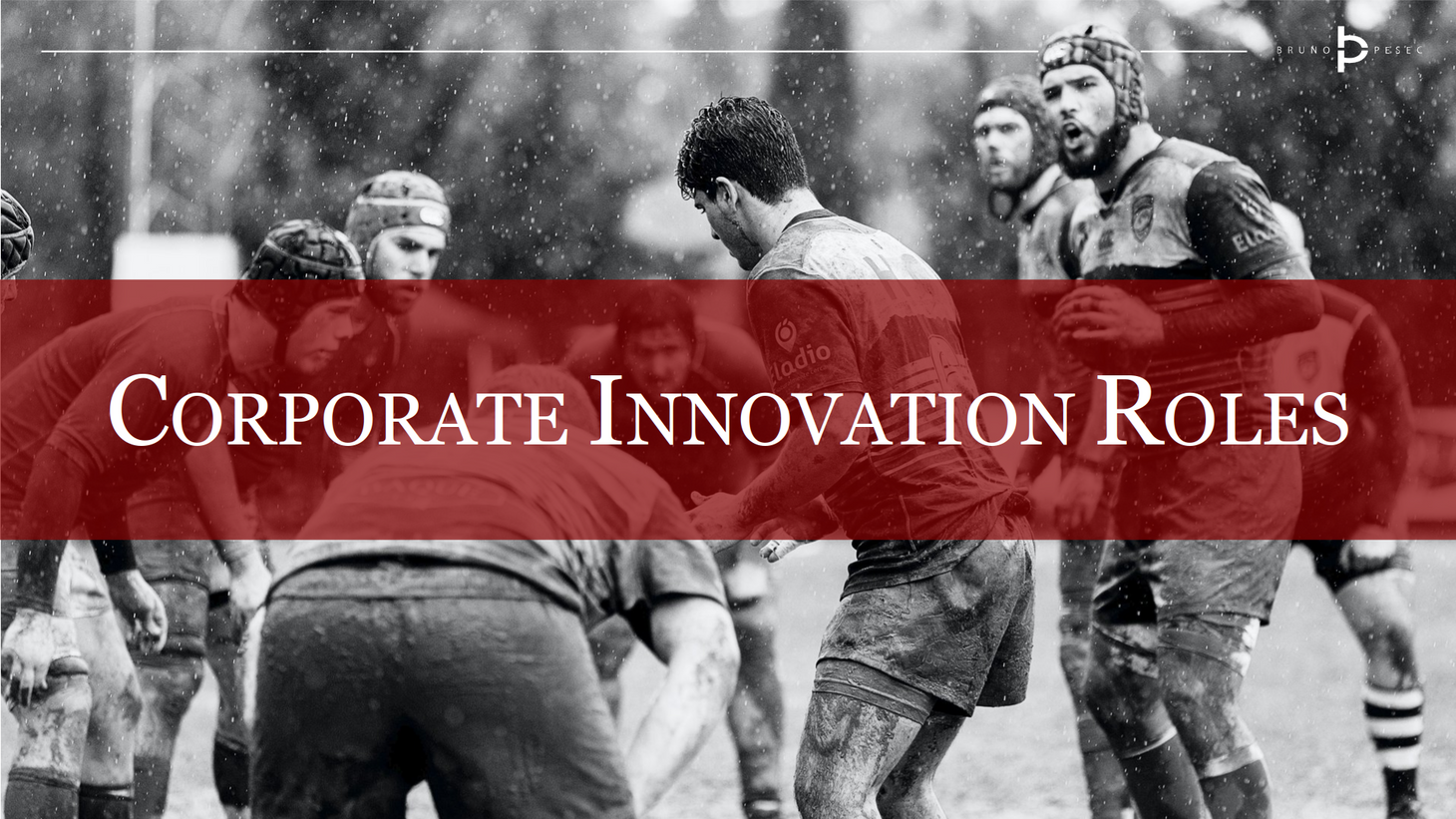Corporate innovation roles