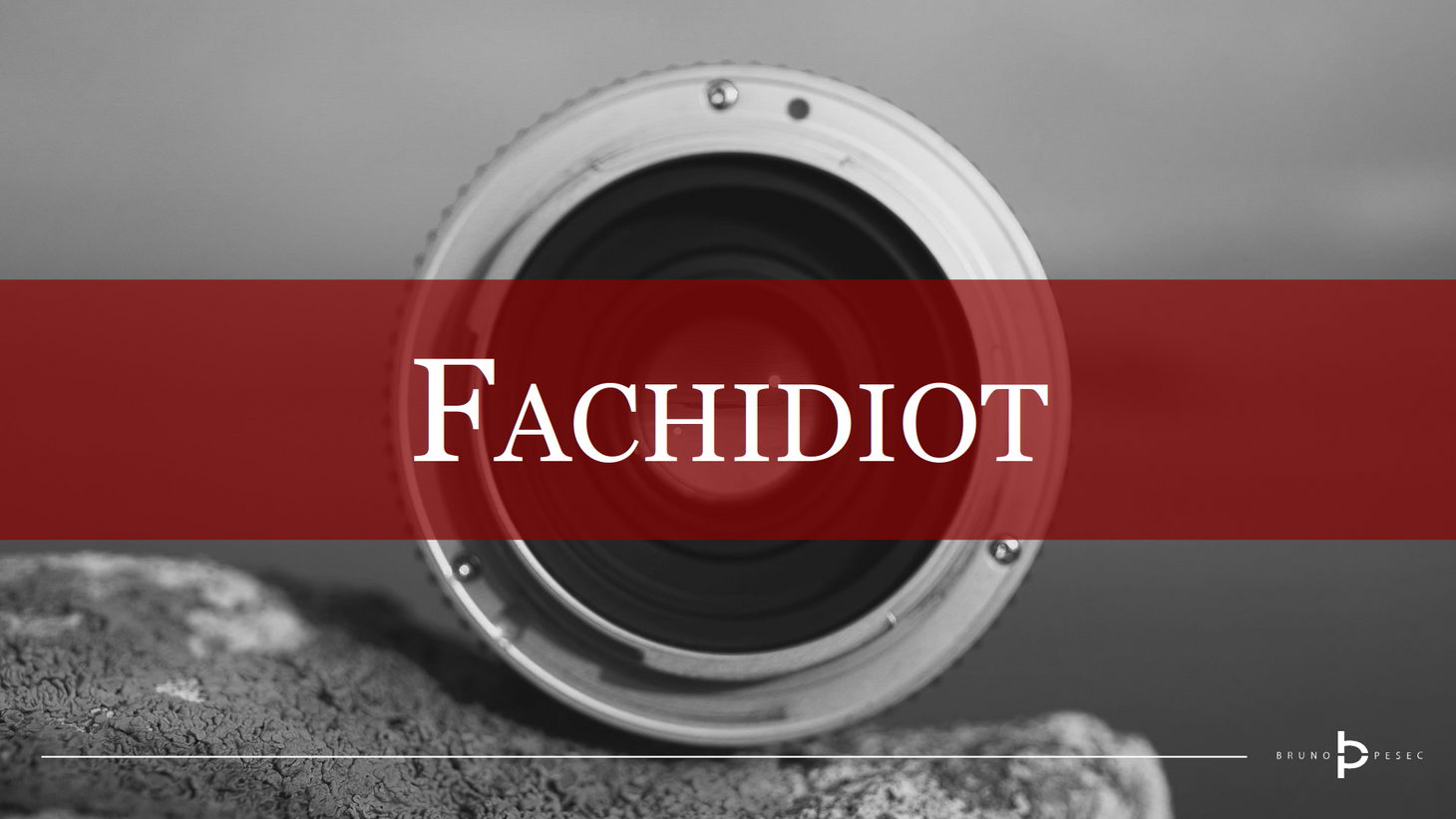 Fachidiot