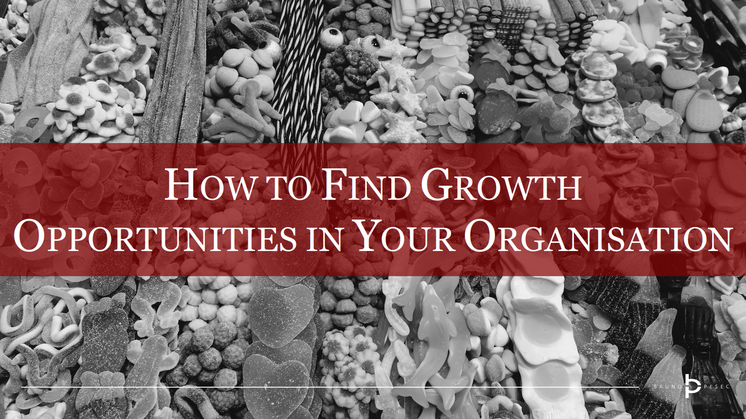 How to find growth opportunities in your organisation
