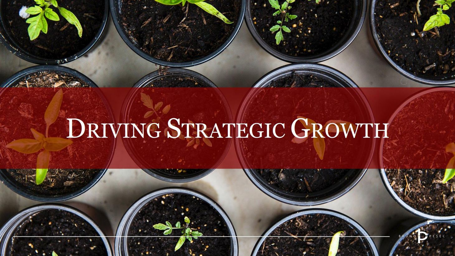 Driving strategic growth