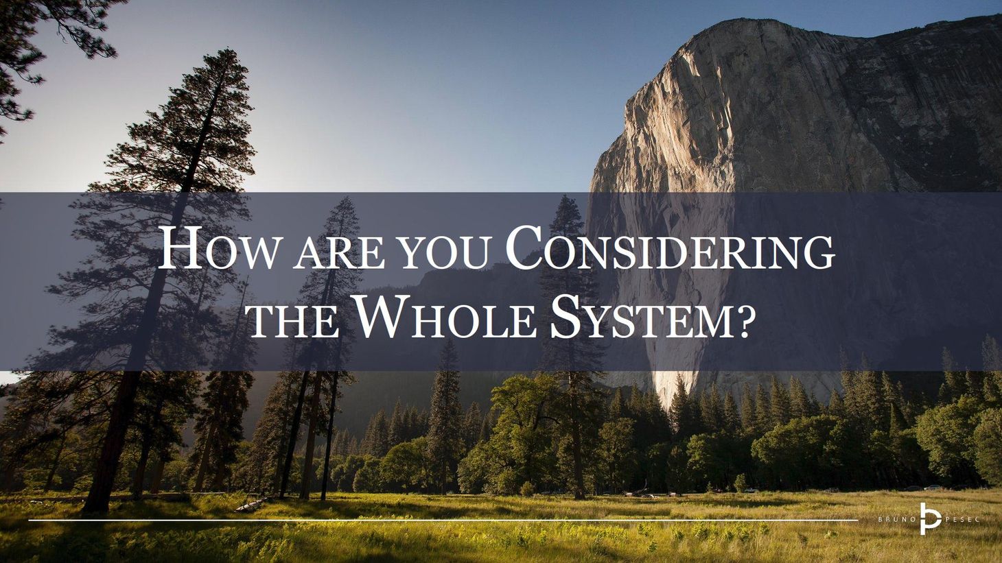 How are you considering the whole system?