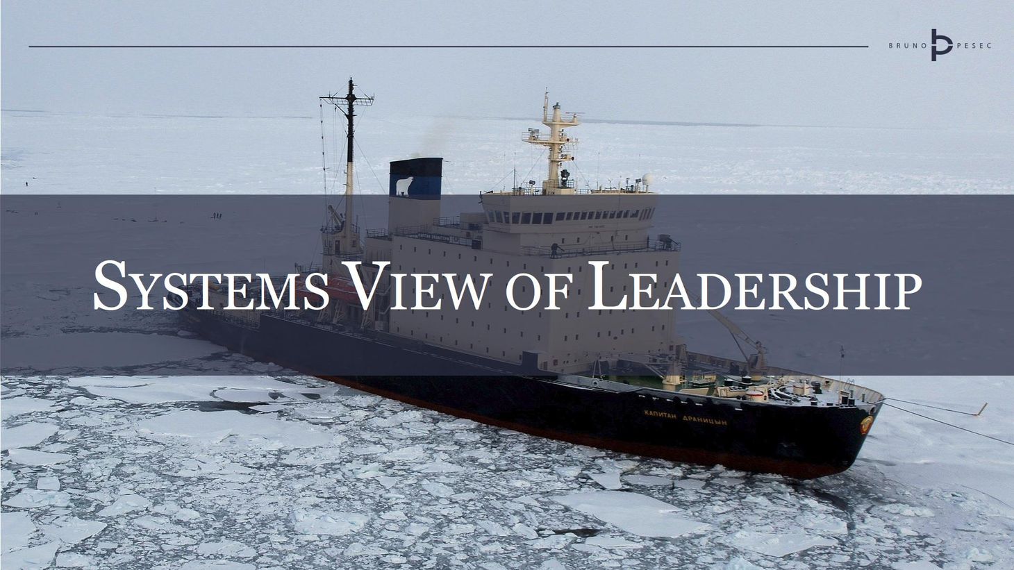 Systems view of leadership