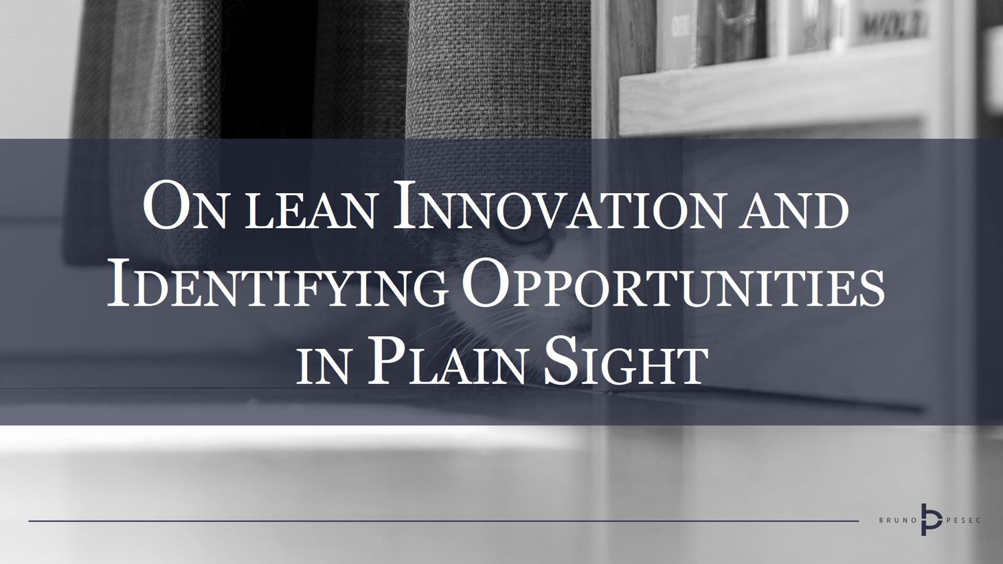 On lean innovation and identifying opportunities in plain sight