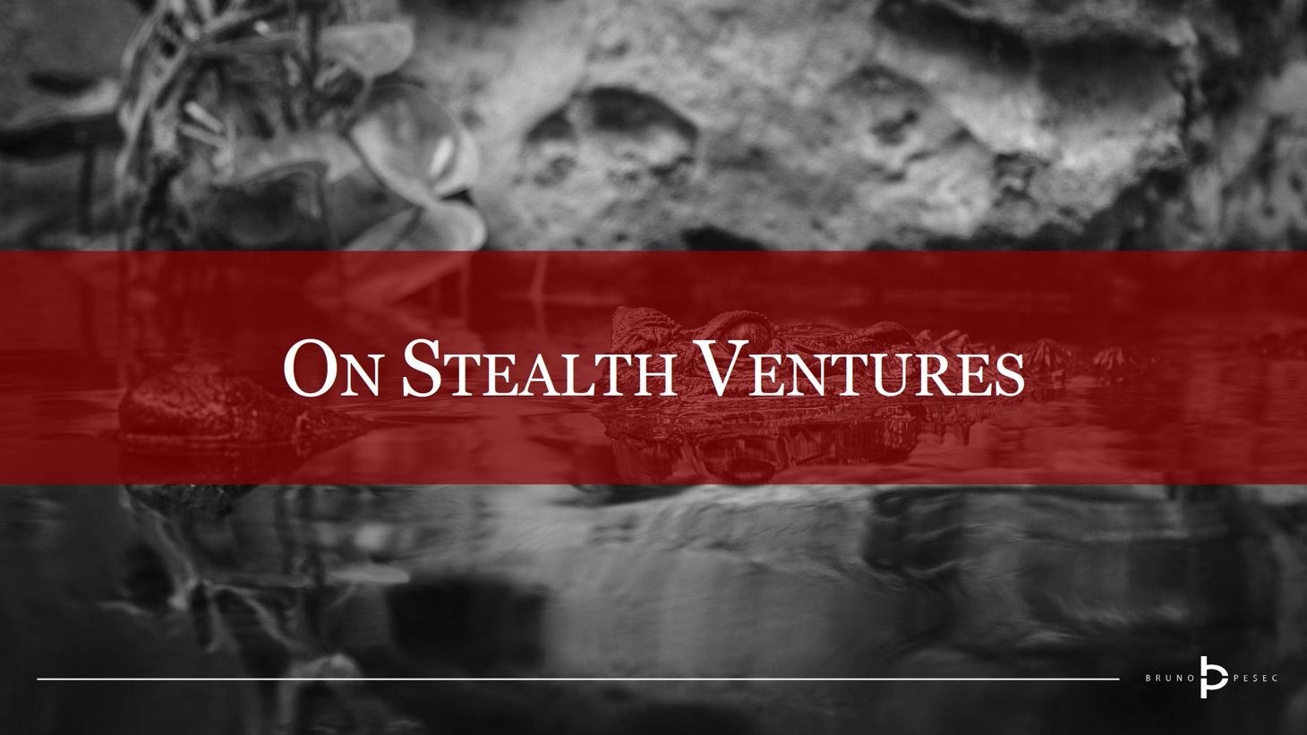 On stealth ventures