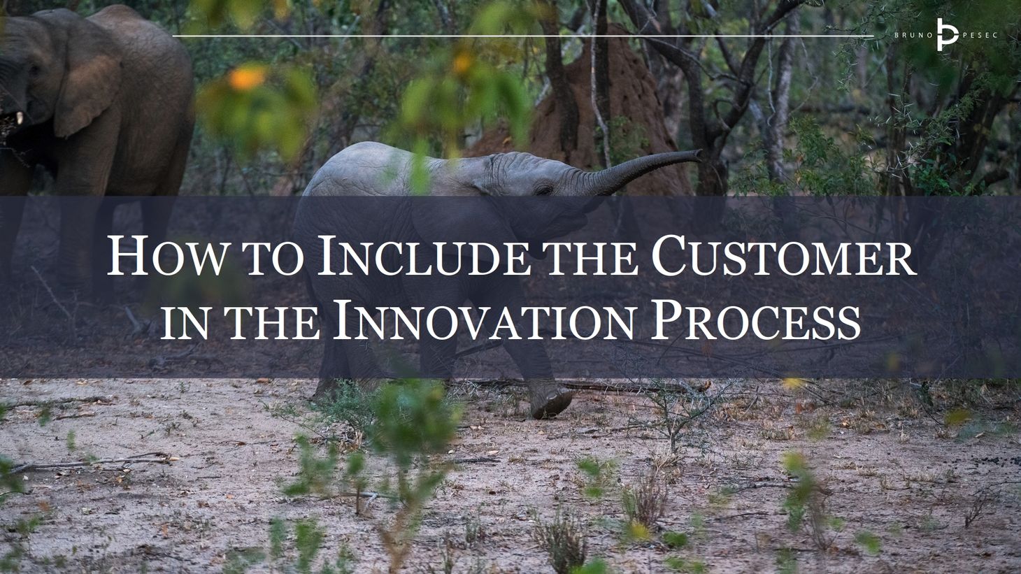 How to include the customer in the innovation process