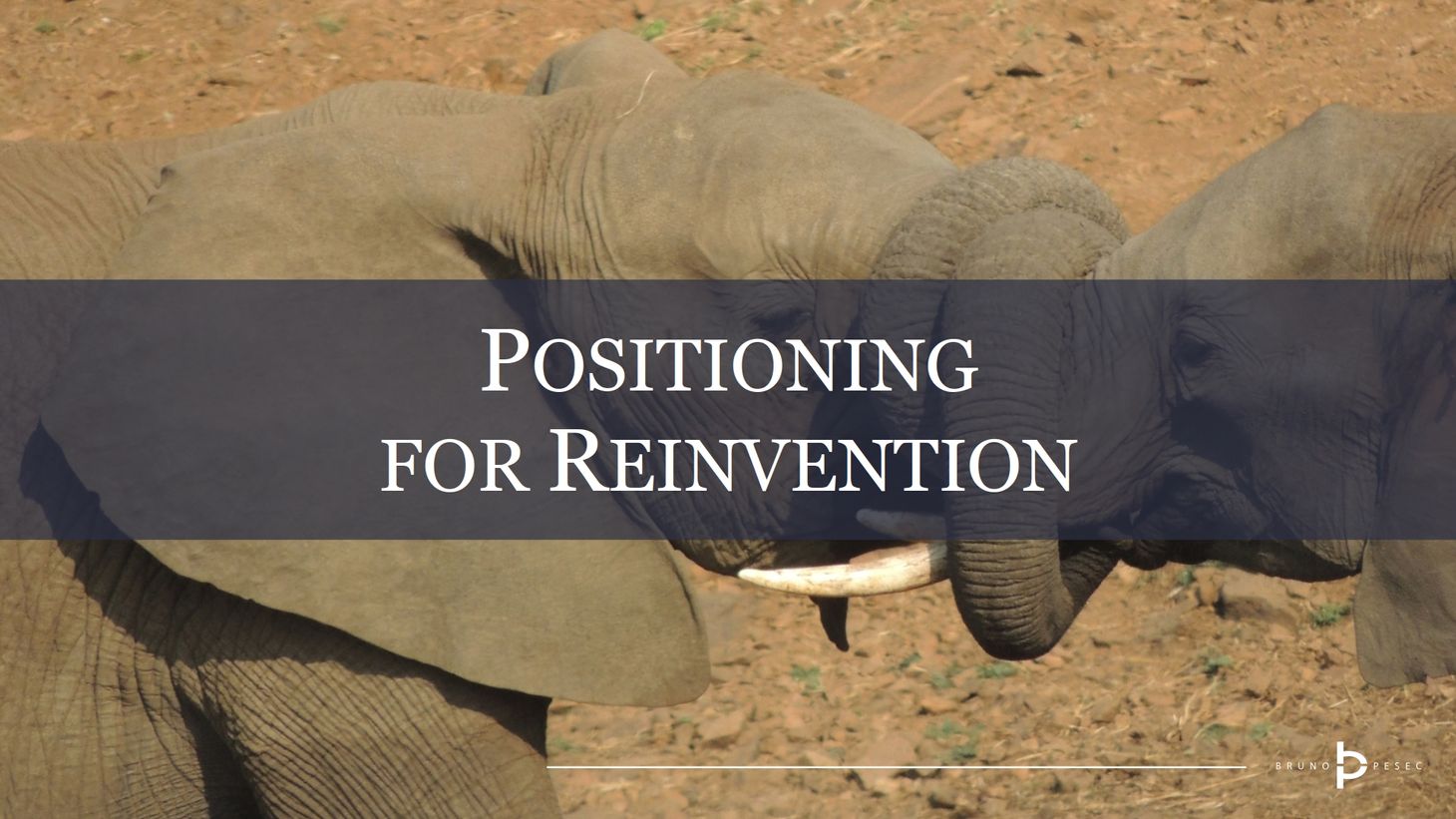 Positioning for reinvention
