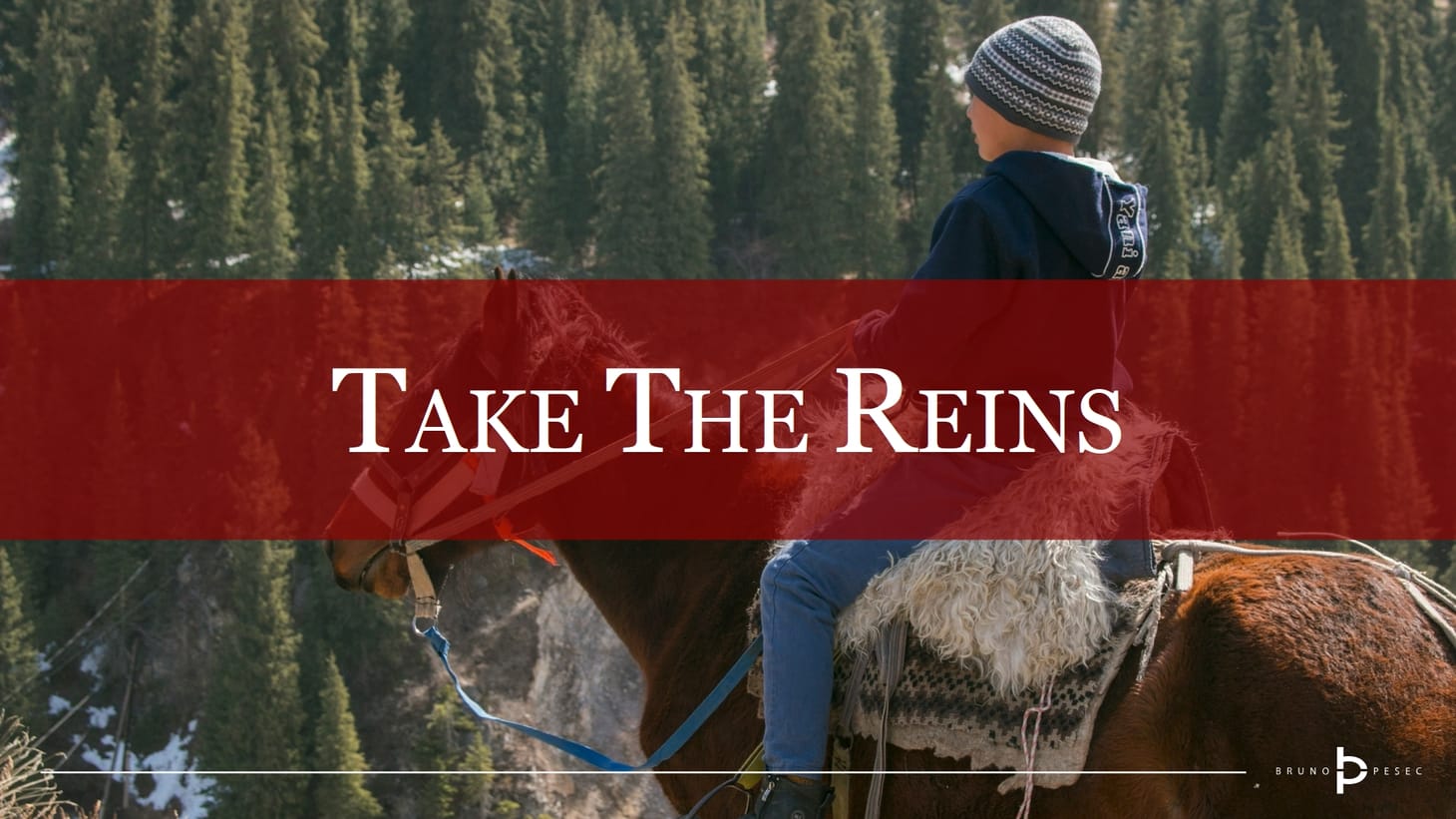 Take the reins