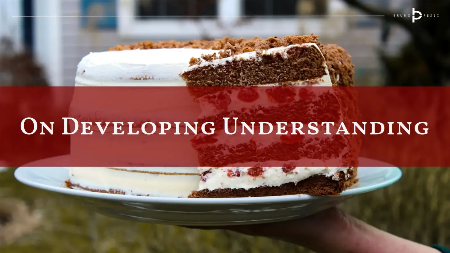 On developing understanding