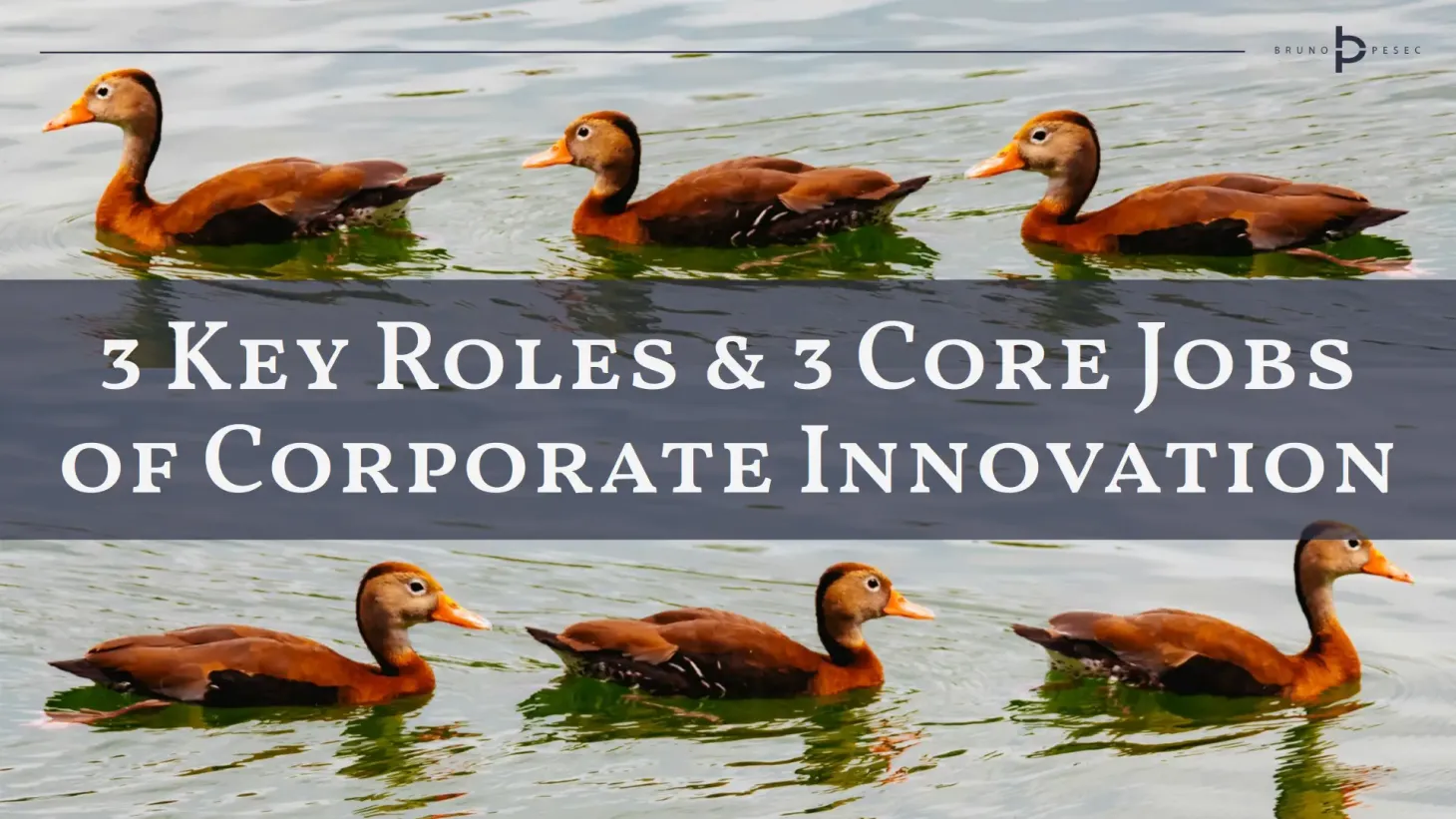 Three key roles and three core jobs of corporate innovation