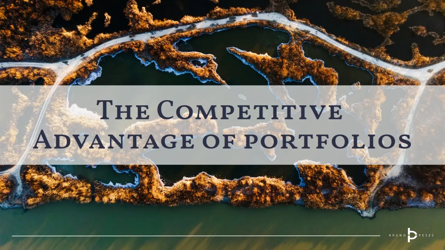 The competitive advantage of portfolios