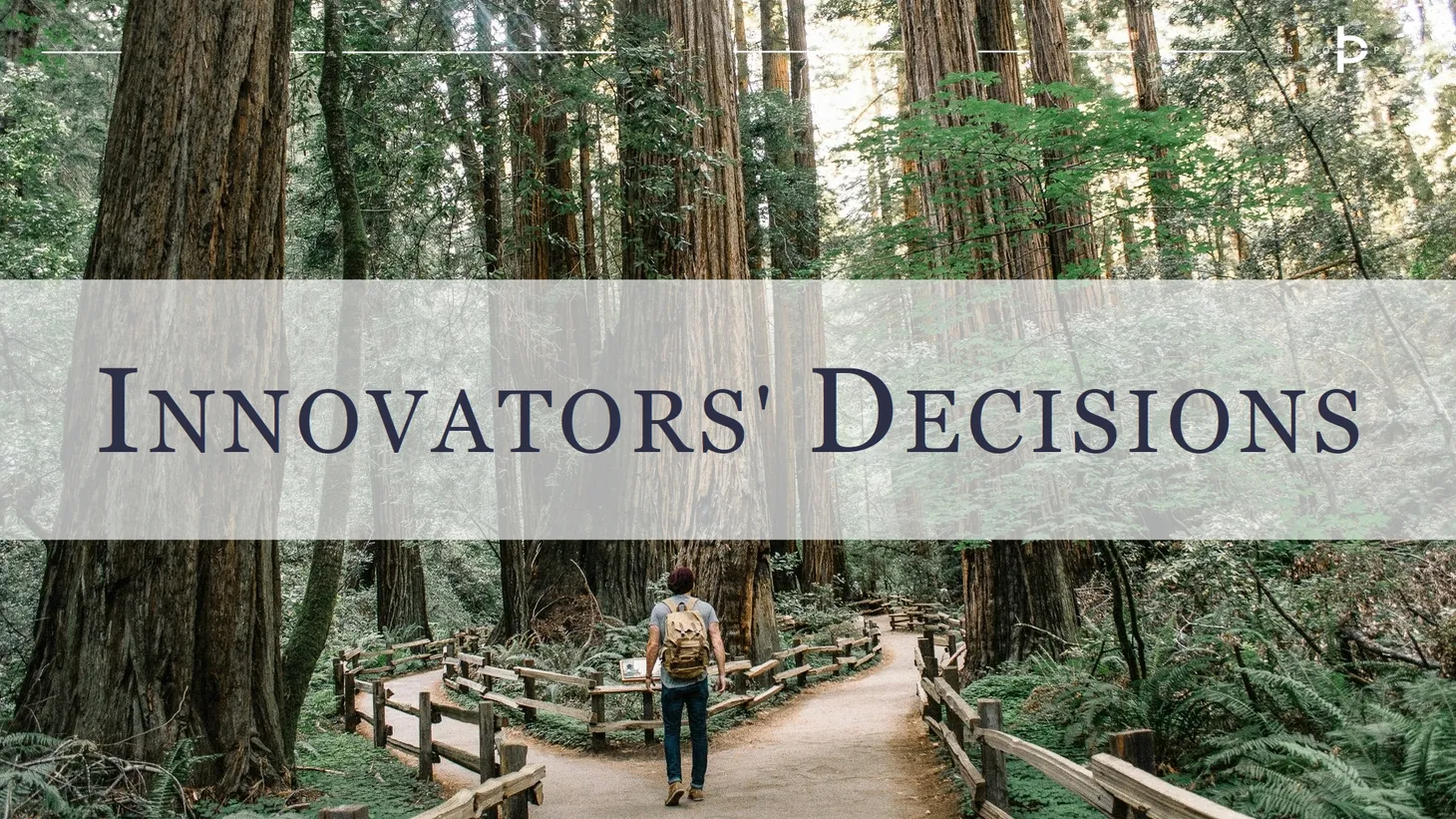 Innovators' decisions